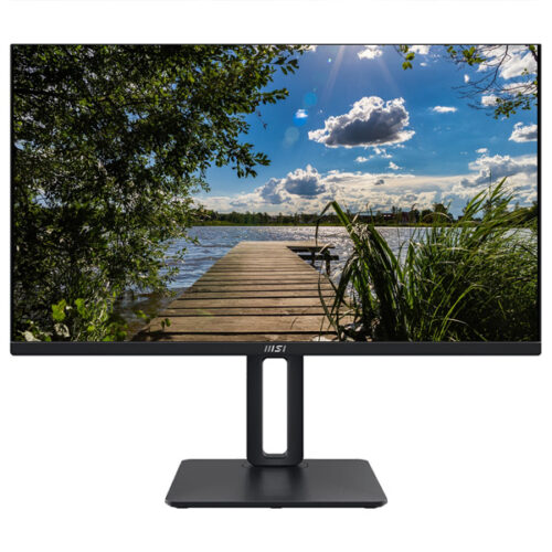 MSI PRO MP251 24.5" FHD 100HZ IPS MONITOR