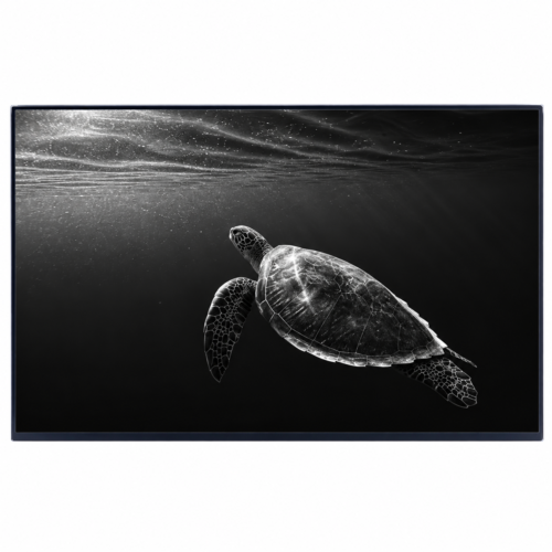 15.6-inch FHD IPS Narrow Square Laptop Display B156HAN02.5