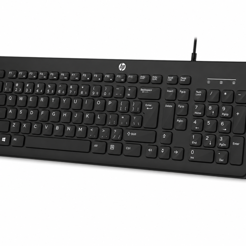 HP K160 Wired USB Keyboard Full-Size Computer Keyboard